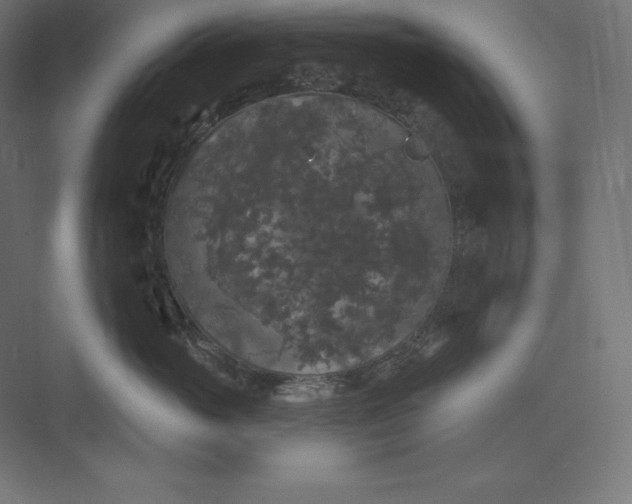 X0000074010765200609061049