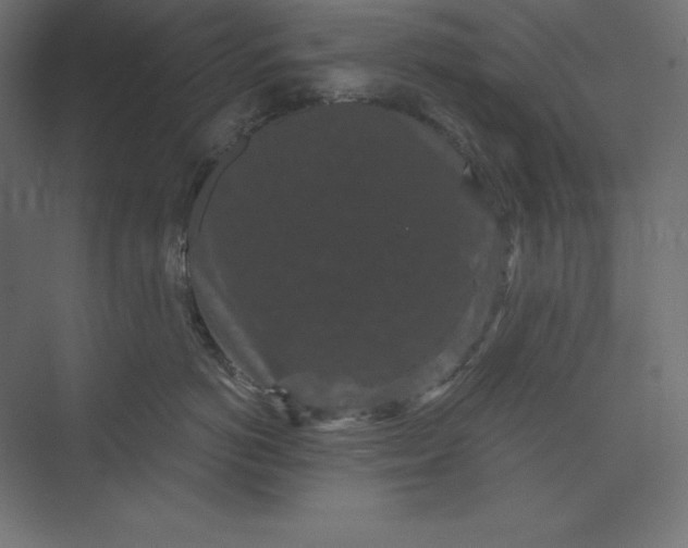 X0000074010766200609061049