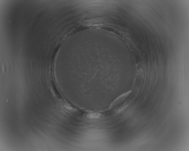 X0000074010767200609061049