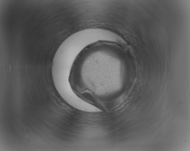 X0000074010768200609061049