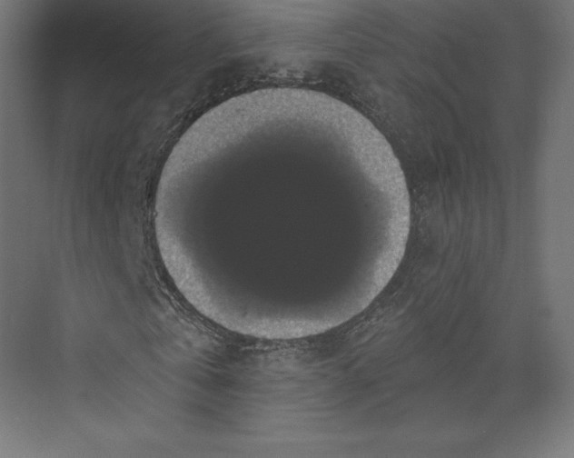 X0000074010769200609061049