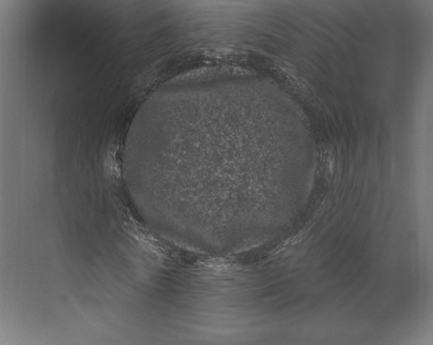 X0000074010770200609061049