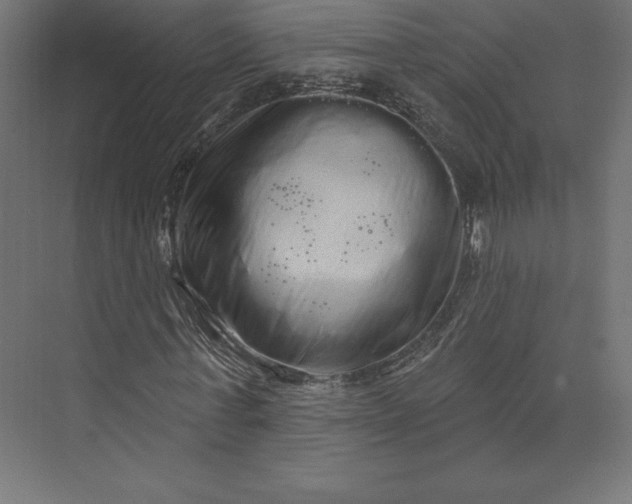 X0000074010771200609061048