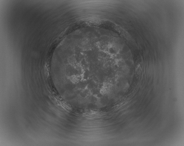 X0000074010772200609061048