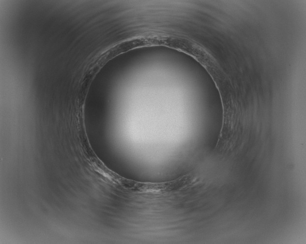 X0000074010773200609061048