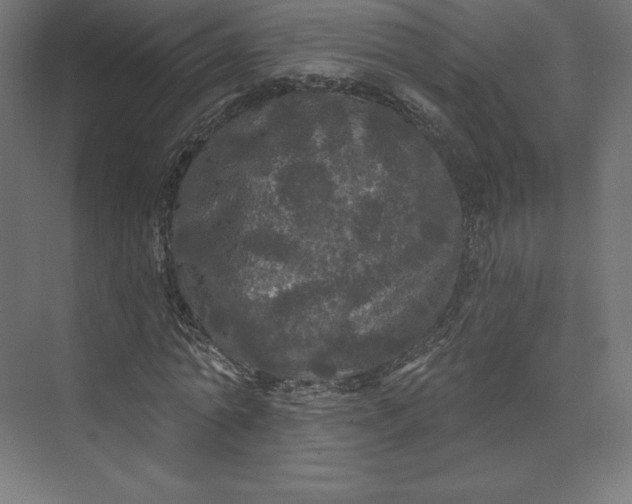 X0000074010774200609061048