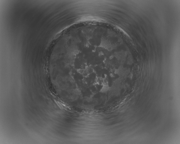 X0000074010775200609061048