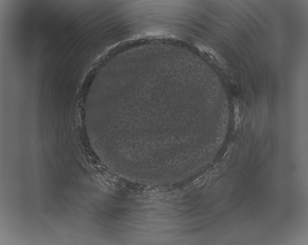 X0000074010776200609061048