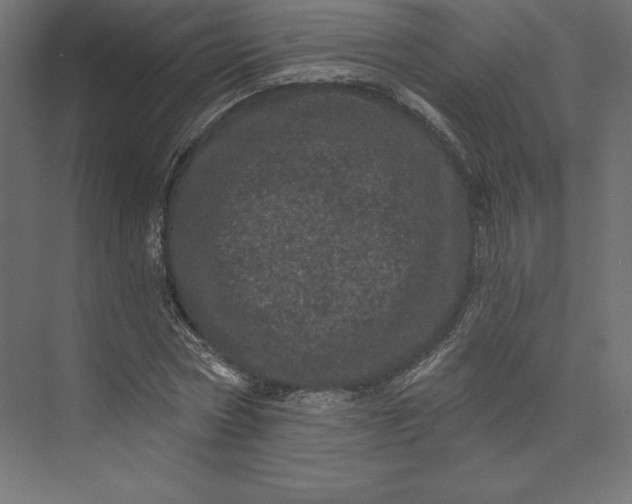 X0000074010778200609061048