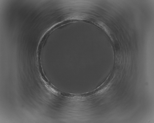 X0000074010779200609061048