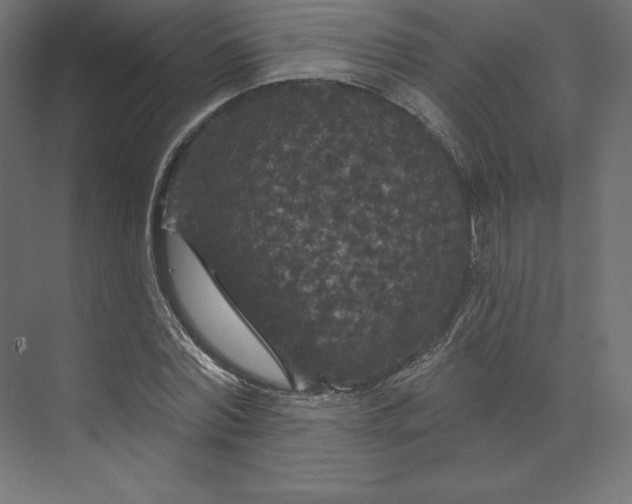 X0000074010780200609061048