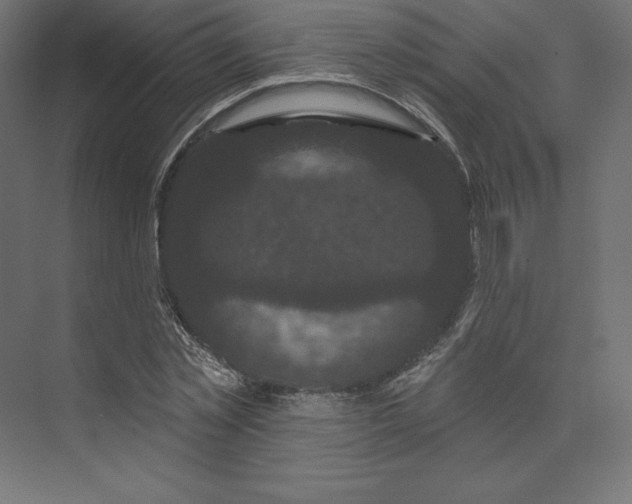 X0000074010781200609061048