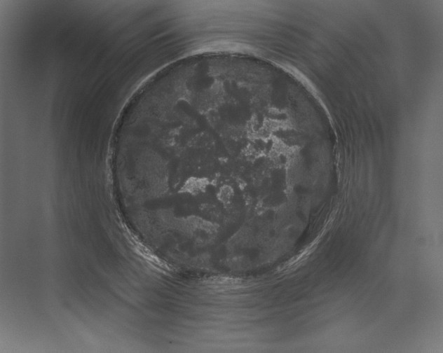 X0000074010783200609061048