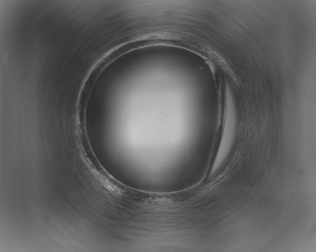 X0000074010784200609061048