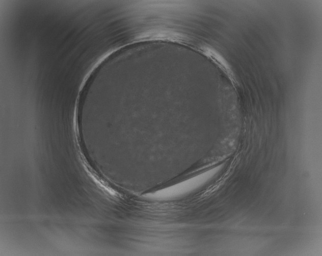 X0000074010788200609061048