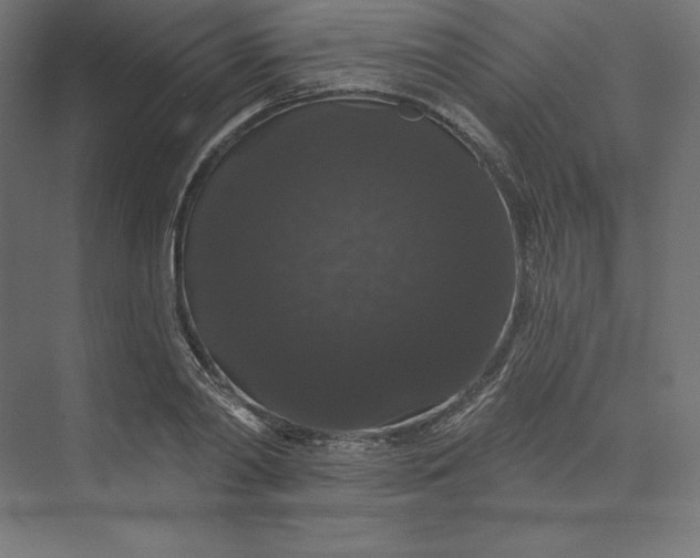 X0000074010790200609061048