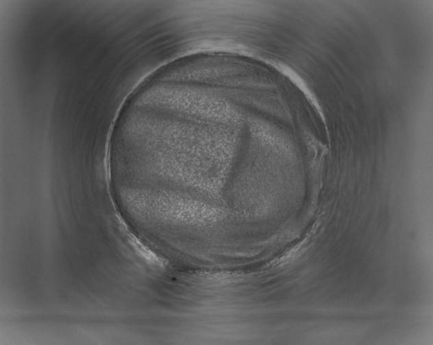 X0000074010791200609061048