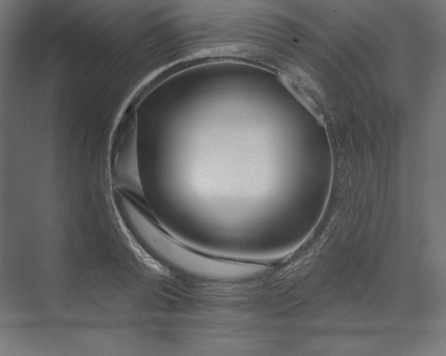 X0000074010792200609061048