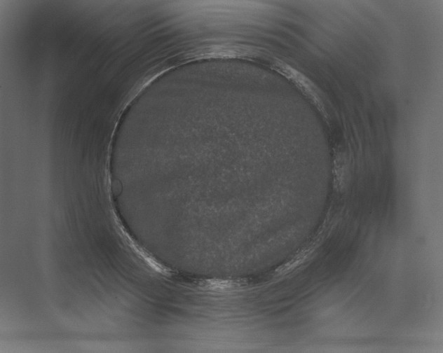 X0000074010794200609061048