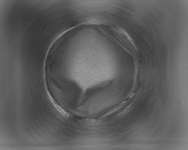 X0000074010795200609061048