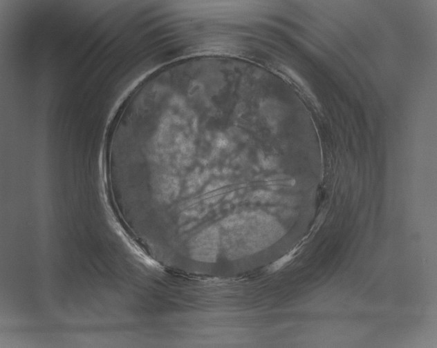 X0000074010796200609061048