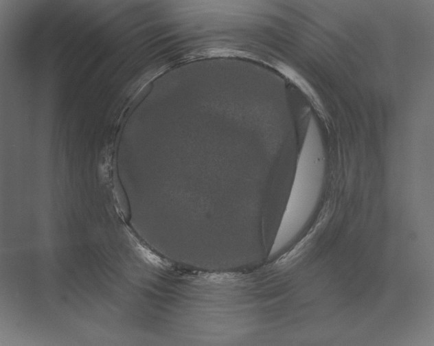 X0000074010801200609061048