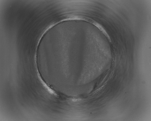 X0000074010805200609061048