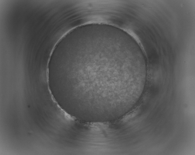 X0000074010807200609061048