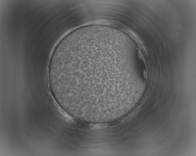 X0000074010808200609061048