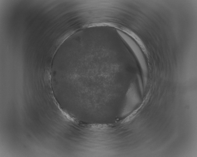 X0000074010809200609061048