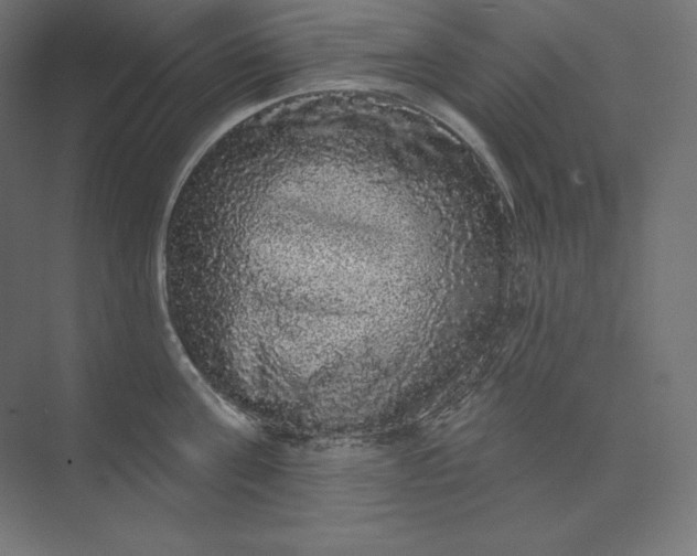 X0000074010811200609061048