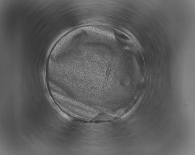 X0000074010812200609061048