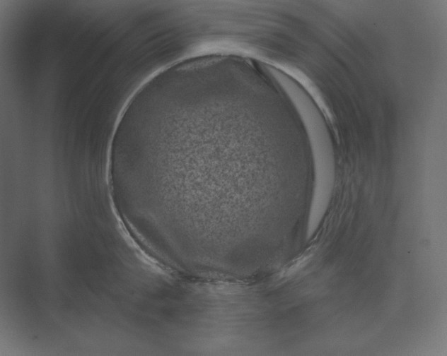 X0000074010815200609061048