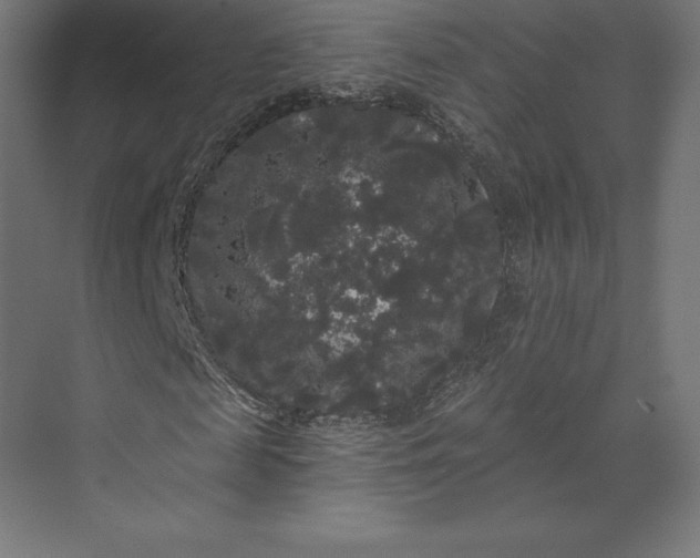 X0000074010817200609061047