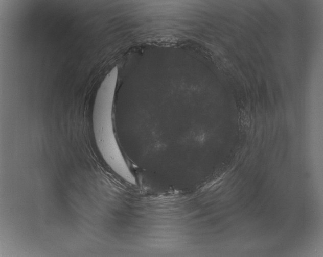 X0000074010818200609061047