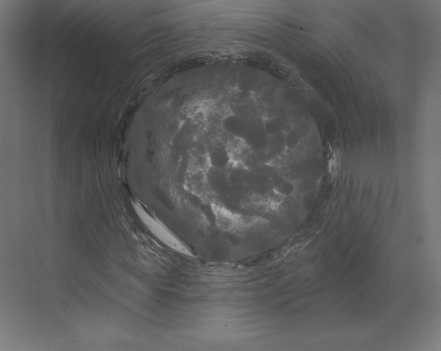 X0000074010819200609061047