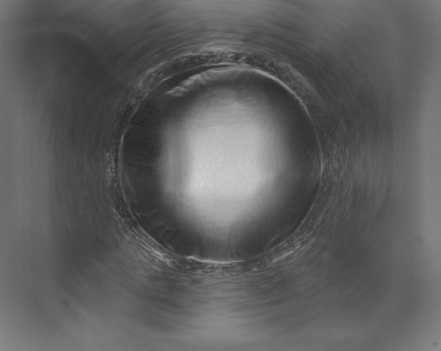 X0000074010821200609061047