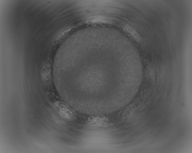 X0000074010824200609061047