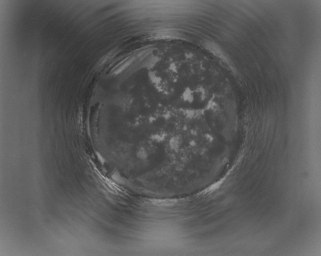 X0000074010825200609061047