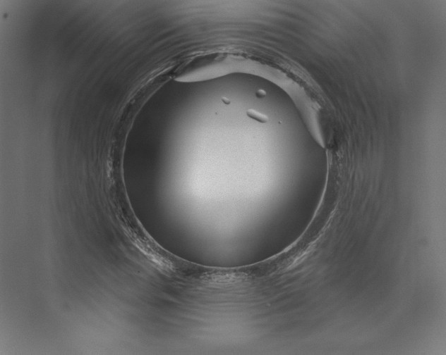 X0000074010826200609061047