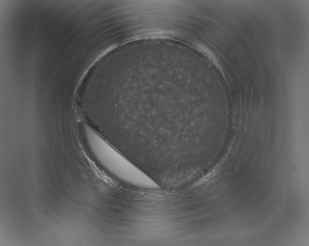 X0000074010827200609061047