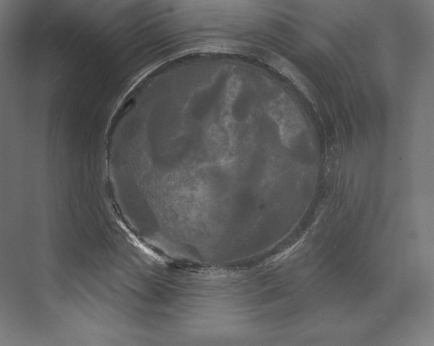 X0000074010829200609061047