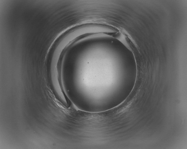 X0000074010830200609061047