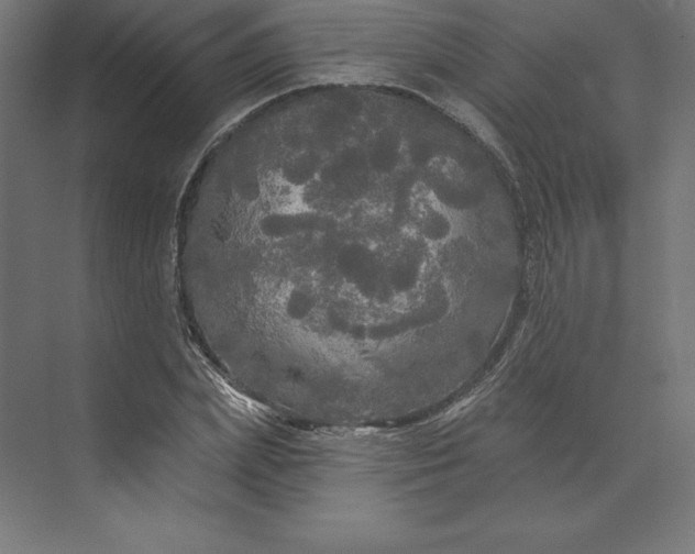 X0000074010831200609061047