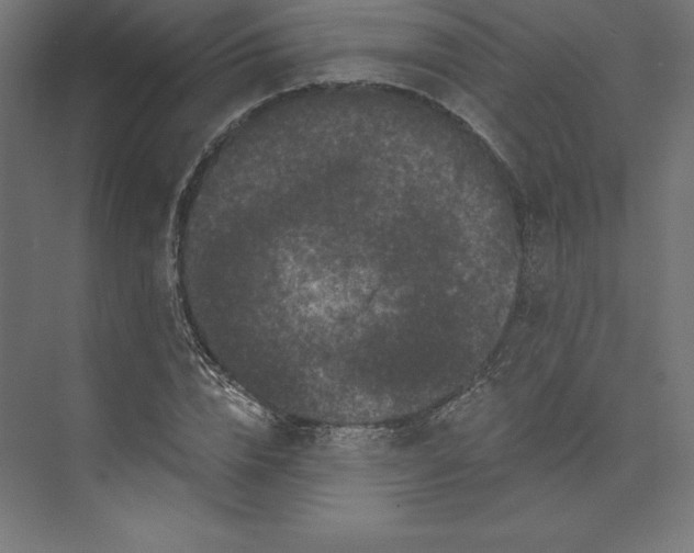 X0000074010832200609061047