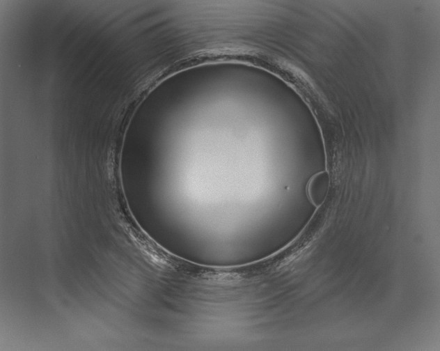 X0000074010833200609061047