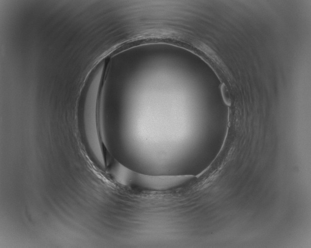 X0000074010834200609061047