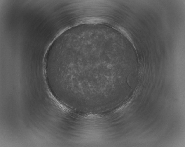 X0000074010835200609061047