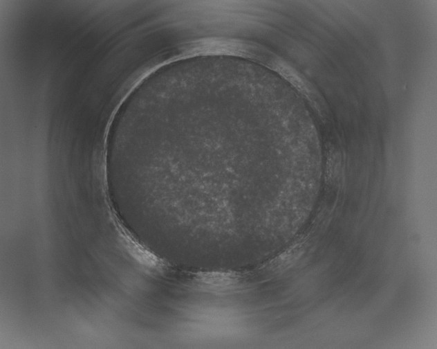 X0000074010836200609061047