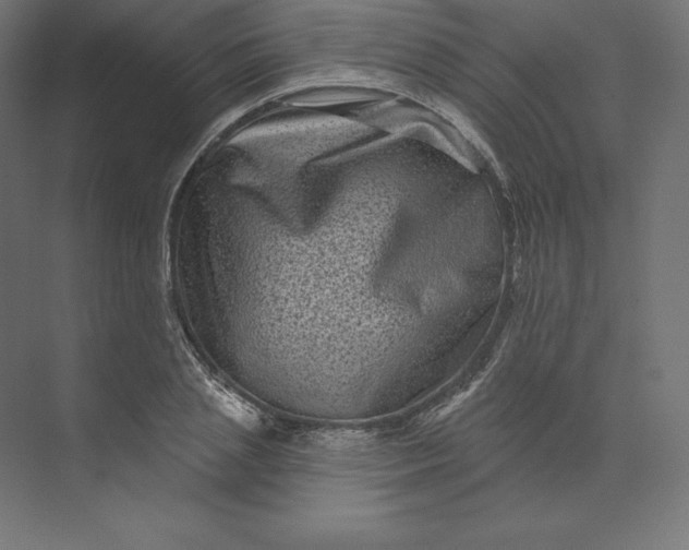 X0000074010837200609061047